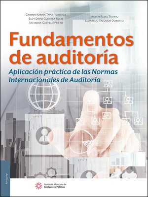 cover image of Fundamentos de auditoría. Aplicación práctica de las Normas Internacionales de Auditoría